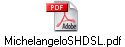 MichelangeloSHDSL.pdf